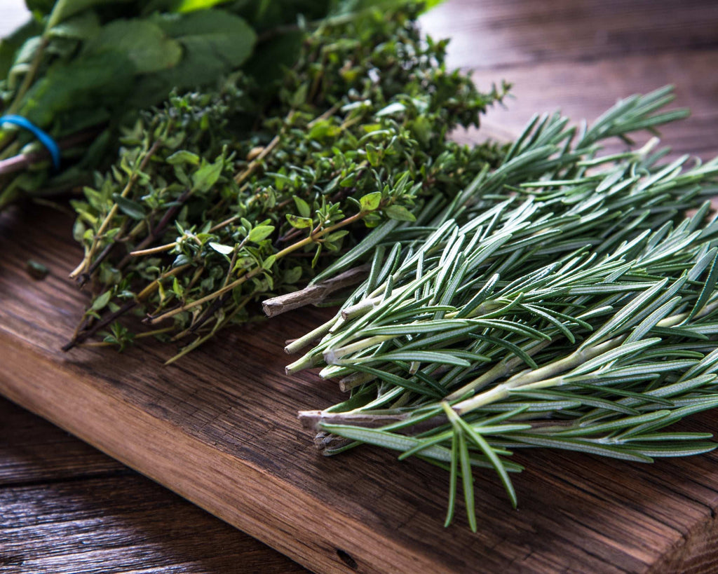 Kitchen Herb Plants Collection Rosemary Oregano Thyme Quart Pots